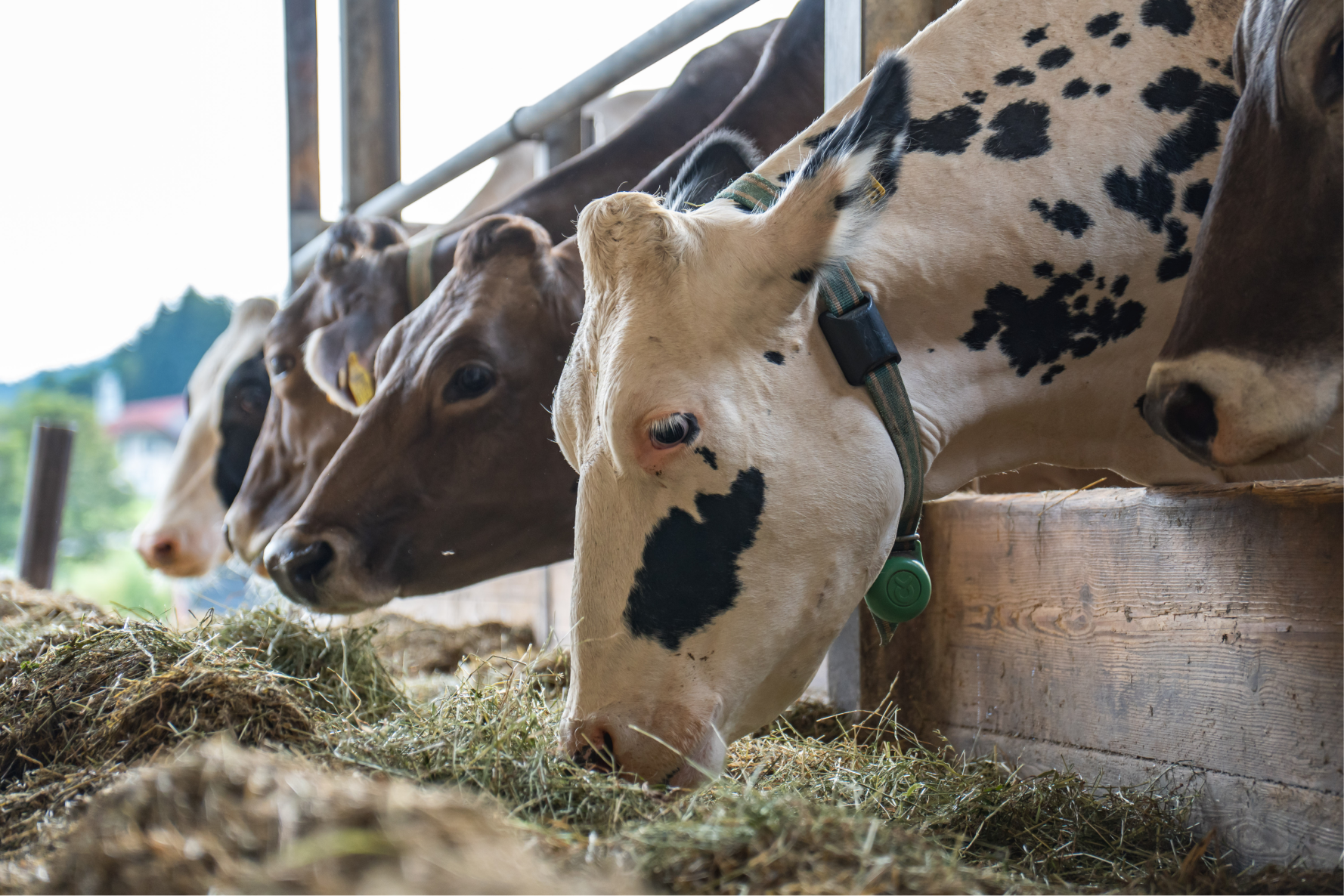 Higher farm profitability icon