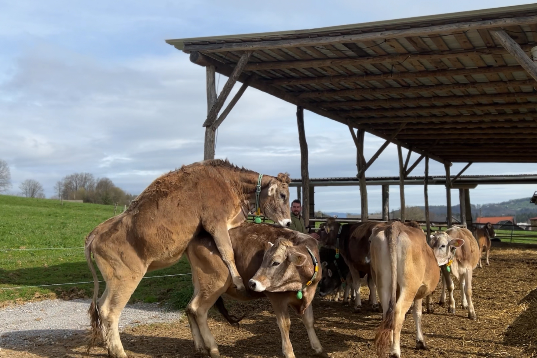 More heat detections icon